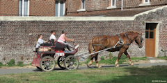 Berneuil en Bray (Attelage)