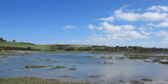 Quiberville (Vallée 4)